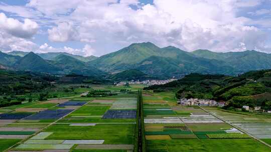 航拍福建南平乡村绿色稻田延时