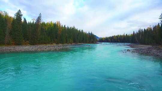 航拍新疆喀纳斯秋天森林河流湖泊自然风景