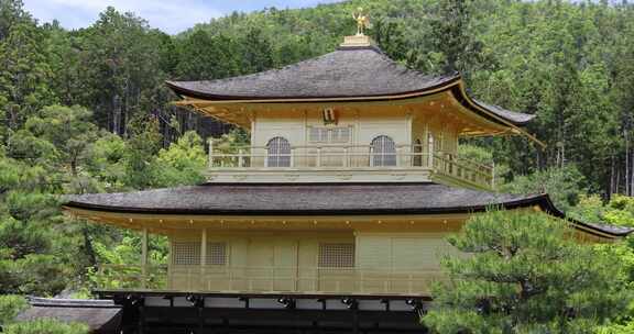 金阁寺特写