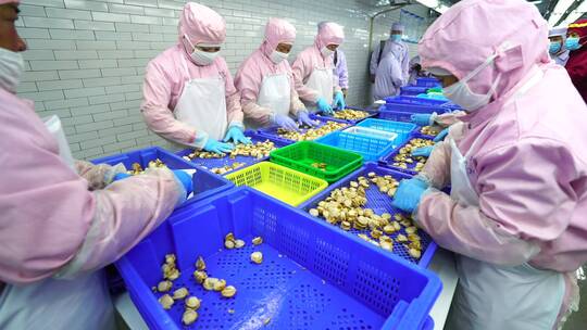 工厂车间流水线作业海鲜产品