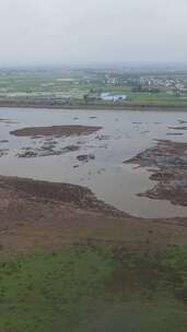 竖版航拍湖南汨罗江湿地公园