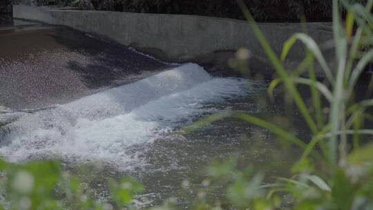 河流小溪青草泉水河边河水溪流水坝视频素材模板下载