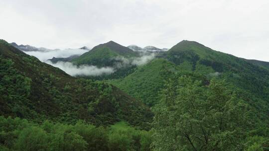 四姑娘山