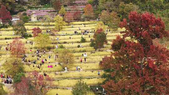 安徽塔川皖南秋色徽派建筑村落