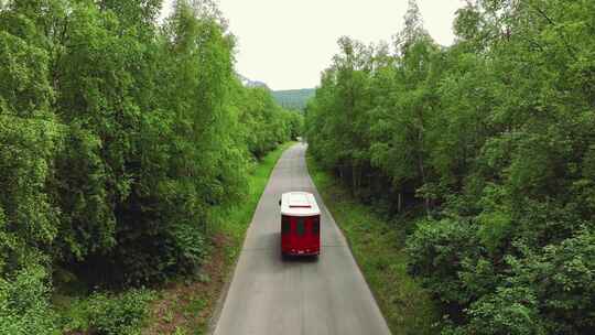 电车之旅在阿拉斯加白天经过翠绿的森林的空旷道路上行驶。-空中，后方