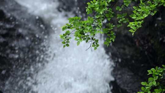 山泉水水源地