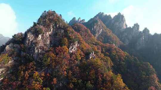 南阳老界岭秋景风光