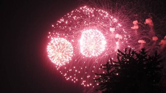 新春新年春节节日 烟花特效绽放视频素材