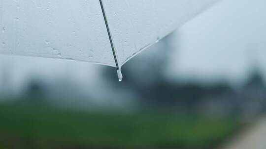 下雨滴水的透明雨伞