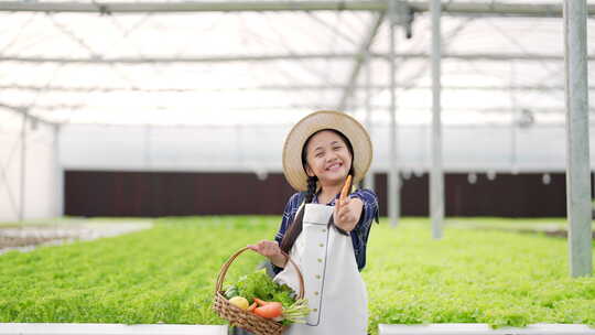 4K小亚洲女孩在温室花园的篮子里拿着有机