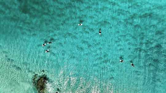 西澳大利亚玛格丽特河红门海滩与冲浪者的鸟