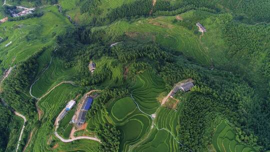 航拍遂川梯田景色