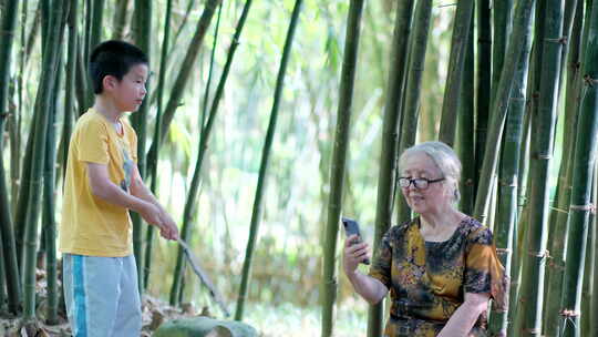 炎热夏天竹林里乘凉  孙子给奶奶摇扇子