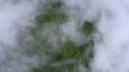 航拍深圳盐田菠萝山雨后生态自然风景