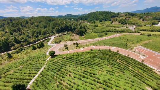 大自然，一起享受大自然的美，治愈系风景