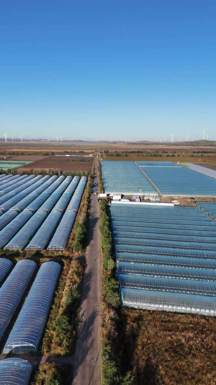 农田蔬菜大棚航拍全景