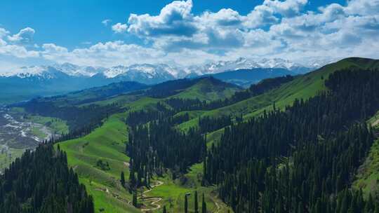新疆伊犁草原雪山风景