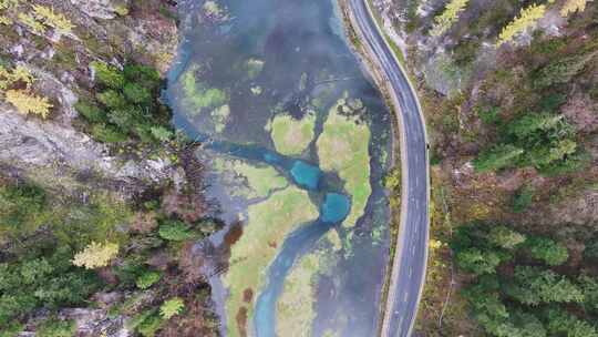 航拍九寨沟秋景彩林川西秋天原始森林五花海