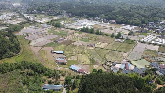 航拍乡村田园现代农业种植大棚