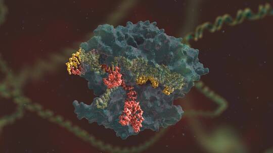 生物科学 基因编辑 DNA 基因工程 医学动画视频素材模板下载