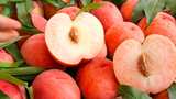 苹果桃 红脆桃 脆桃高清在线视频素材下载