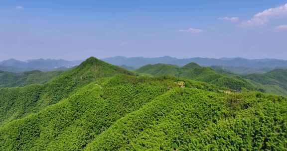 航拍浙江山区竹山竹林竹海大气治愈