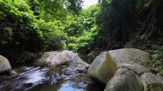 穿越机航拍深圳梧桐山麻水凤林间溪谷