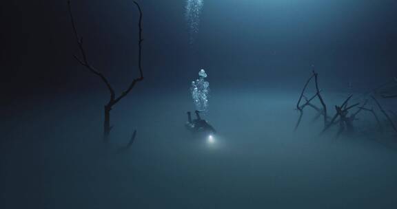 潜水员在海底浮潜