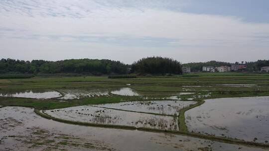 山区田野