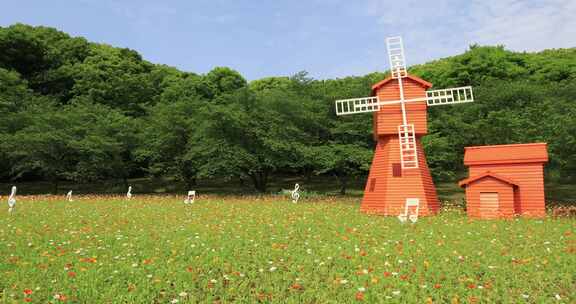 阳光风车森林草地野花盛开春光明媚