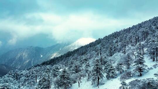 航拍雪山秦岭雪松雪景