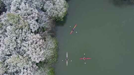 杭州西湖杨公堤雪景