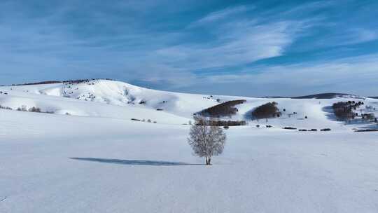 唯美雪原美景 水墨丹青画卷