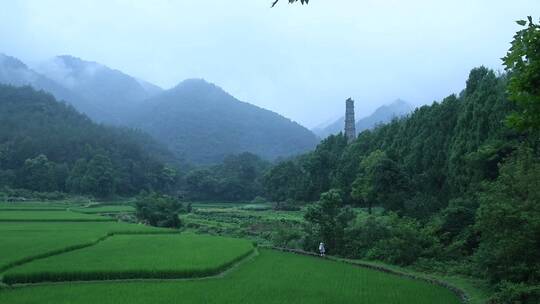 天台山国清寺建筑视频