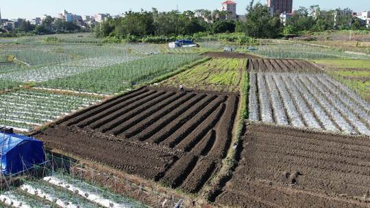 农田农业种植航拍