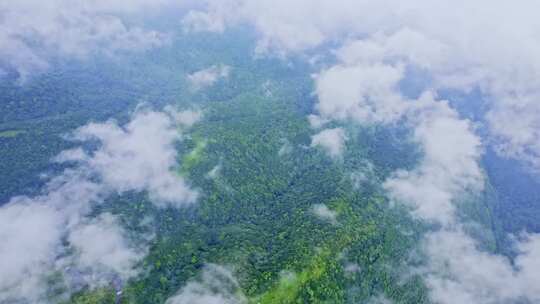 航拍云雾缭绕森林山林绿肺自然风光视频素材模板下载