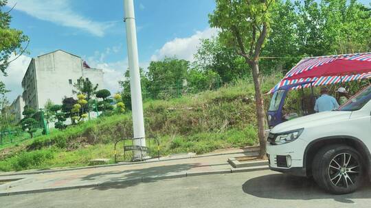 城市公路蓝天白云花草树木绿色植物