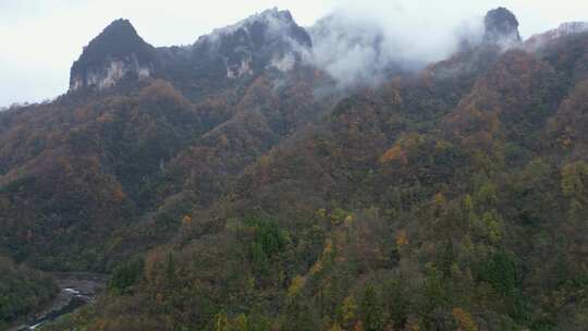 漫山红叶巴中光雾山附近