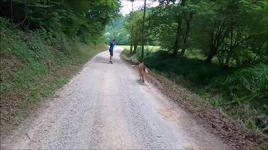 男人和狗在森林的路上玩耍