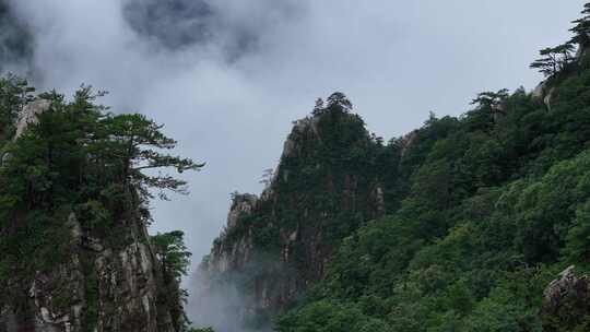 美丽中国河南老界岭自然风光