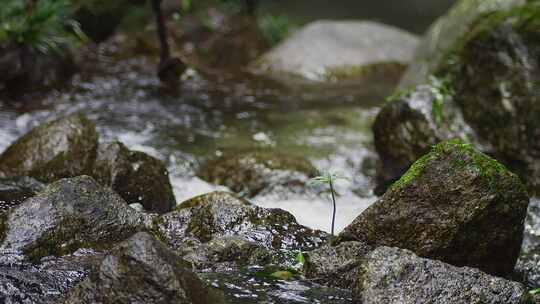 山涧山泉水清泉流水视频素材模板下载