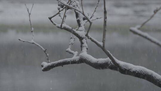 冬季雪景 城市初雪 下雪空镜