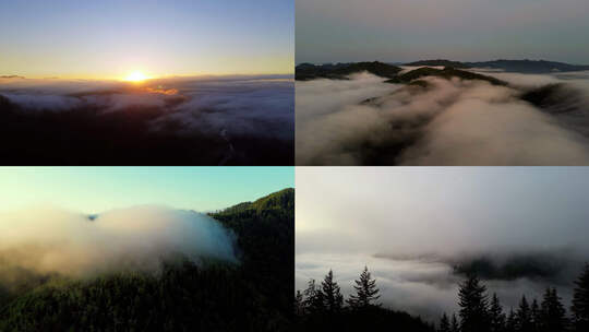 航拍迷雾森林云海日出山峰平流雾唯美风景