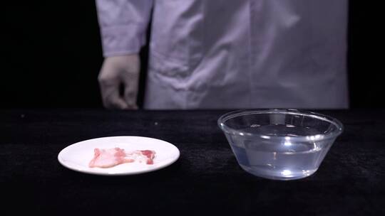 酸性液体腐蚀肉类实验
