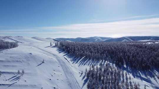 被雪覆盖的山林及远处山丘的景象