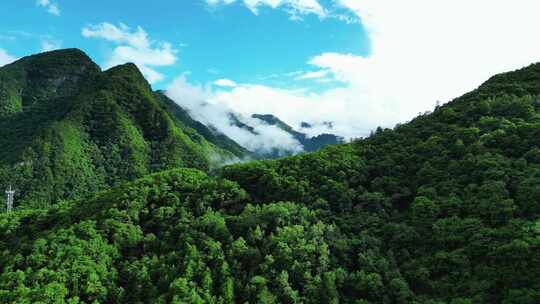 航拍祖国大好河山湖北神农架绿色植物森林