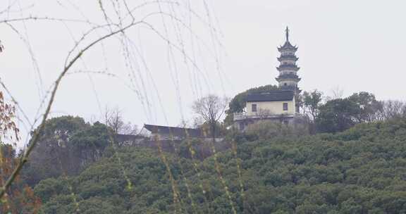 春天苏州上方山公园鲜花盛开