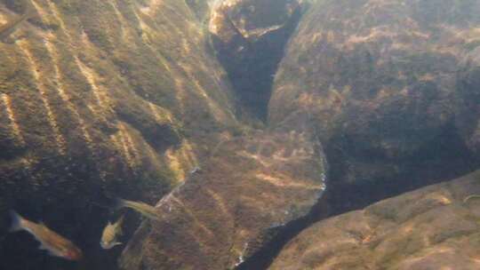 河边小溪河底海底水下世界流水岩石光影升格
