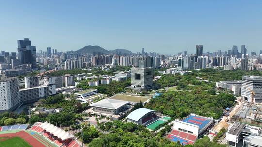 深圳大学 大学 教育 高等教育