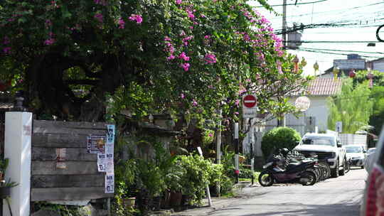 泰国清迈绿植花园街道街景